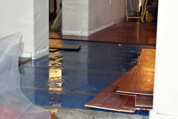 Professional Water Damage Restoration technician working in Rollingstone, MN